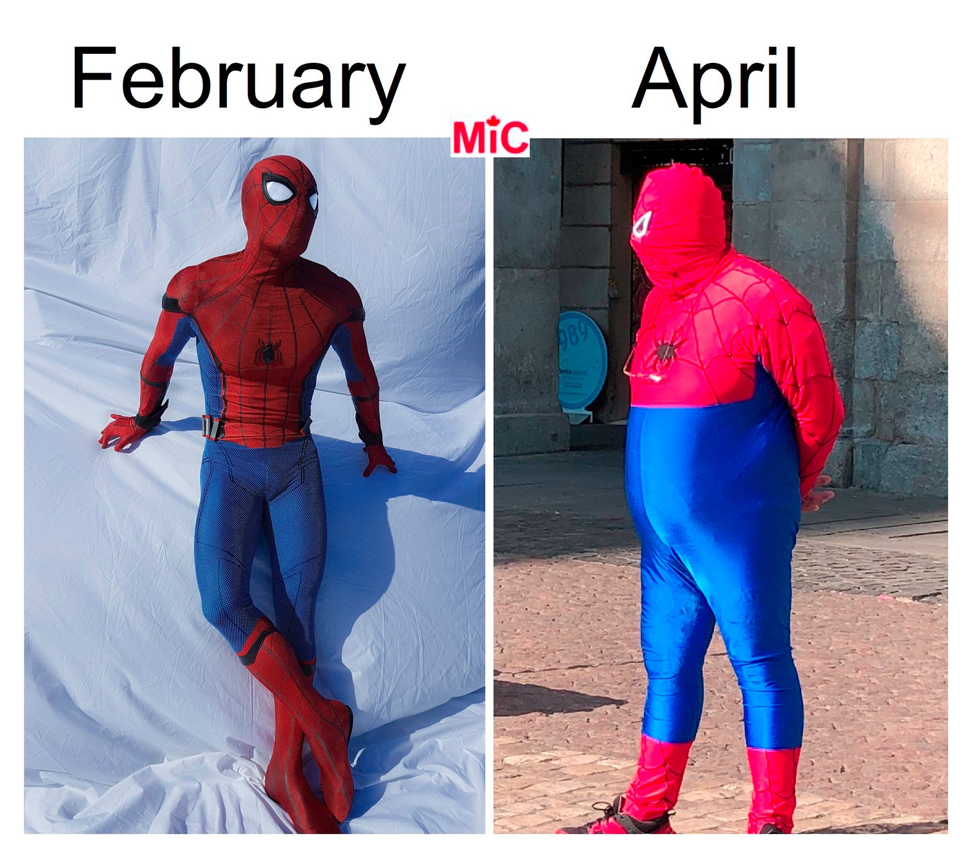 Bildkopie Spiderman