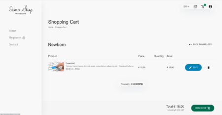 Digitaler Fotoverkauf - BILDKOPIE Galerien mit Onlineshop (Webshop, Shopsystem)für Fotografen - Der Verkauf von digitalen Daten ist bequem, schnell und deine Kunden verfügen nach der Bezahlung sehr rasch über ihre Fotos